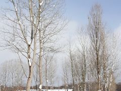 Solitary Journey ［1134］ 雪国から…と言っても広島県の北東部からです。＜コンデジ持って雪景色の中を行く ｉｎ 庄原＞広島県庄原市