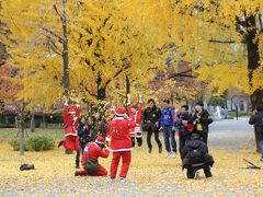 大阪　晩秋の紅葉・・・（大阪城公園・御堂筋）