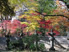 上野公園に日本の秋を見る。  2012