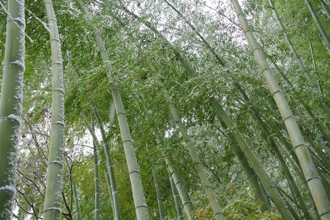 松島は前日に降った雪がちょっぴり積もっててすごく綺麗。<br /><br />伊達政宗歴史館に行ってみた。<br />・・・怖かった。