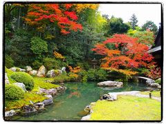 古都京都の四季をゆく・秋編【７】～紅く彩られた門跡寺院・青蓮院へ～