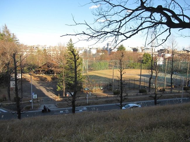 田園都市沿線の「たまプラーザ駅」から徒歩10分ほどの所に、「美しが丘公園」があります。<br /><br />敷地の広さは約22000平米。<br /><br />広い緑の敷地のなかに、野球のグラウンドや、自由広場、2つの遊戯広場、屋内遊技場のログハウスなどがあります。<br /><br />たまプラーザで生まれ育った私にとっては、子供の頃から親しんできた場所であり、あまりにも身近で、旅行記の対象には考えていませんでした。<br /><br />しかし、まだ４トラで紹介されていないようですので、私がたまプラーザ住民を代表（自称）して、紹介します。<br /><br />表紙写真は、通りを隔てて隣接する「たまプラーザ団地」から見下ろした「美しが丘公園」のログハウスと野球のグランドです。