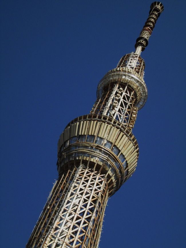 祝北野中創立30周年　北野スカイツリー（2013.3.8写真替え）<br />Kitano Sky Tree/Celebration of 30th anniversary of Kitano Junior High School<br /><br />2012年11月、ウォーキングコースである埼玉県所沢市北野地区の小学校前の畑にスカイツリーが出来たとの家族の情報で早速見に行きました。<br />一目見た途端に、その大きさと精巧さにびっくり(ﾟoﾟ;;<br />誰がどうして建てたかなどが詳しく書かれた掲示が貼られた塔（イーストタワー）や北野中学校の模型も近くにあります。<br /><br />所沢市立北野中学校　創立30周年を記念して地元有志が地元の個人・企業・団体の協力のもとに建てたものです。<br />建設場所は北野中学校に隣接する北野小の前の学校体験農場内です。<br />高さは実物の1/50の12.68mで主な材料は竹とペットボトル。<br />遠目にではなく、近くから見ると余計実物そっくりに見えます。<br /><br />いつまで建っているのか分かりませんので、興味がある方は早めにご覧下さい。<br />アクセスは国道463入間所沢バイパス「所沢西高校入口」信号を（所沢方面から来ると）左折100m先右側です。<br />信号近くに大きな駐車場がある飲食店（ラーメン、うどん、回転寿司など数軒）があるので食事の前後にでもご覧下さい。<br /><br />このブログを多くの関係者の皆様に紹介したいのですが、上記掲示に連絡先の記載がないので叶いません。<br />これをご覧になった方には是非とも関係者へのご案内をお願いします。<br />第1回撮影<br />12月4日（火）13：19〜13：42<br />最初の撮影日、イーストタワーは寒風に曝されていました。<br />一首：<br />シャラシャラと鳴る匙の音はスカイツリーの建立称う拍手に聞こゆ<br /><br />第2回撮影<br />12月5日（水）17：34〜17：56　　<br />ライトアップ<br /><br />第3回撮影<br />12月21日（金　冬至）17：04〜17：25　<br />クリスマス・イルミネーション<br /><br />第4回撮影<br />12月22日（土）　17：06〜17：08<br />スカイツリーと富士山<br /><br />第5回撮影<br />2013年1月4日（金）7：40<br />スカイツリーと富士山と半月<br /><br />第6回撮影<br />2013年1月29日（火）13：14〜13：20<br />巳年のスカイツリー<br /><br />第7回撮影<br />2013年3月6日（水）13：20〜13：22<br />所沢市北野にある梅林山全徳寺の梅と蝋梅を見に行く途中で<br />立ち寄ってみると、まだ健在です。<br /><br />◇北野スカイツリー写真展　3月23日〜30日<br />ハナミズキプラザ（旧西友B館1階）の「北野スカイツリー写真展」で<br />展示中のフォトコンテスト入賞作品、全応募作品130点、スカイツリーの1/500模型の写真などを追加掲載しました。<br /><br />参考記事サイト<br />北野スカイツリー<br />家庭新聞（西武電子新聞）<br />http://kateishinbun.com/article/3177/<br /><br />撮影　CANON EOS40D EFS 17/85,55/250(夜景・朝景色）<br />　　　　画像サイズ3888×2592<br />CANON PowerShot A2300（日中）<br />Panasonic P-07B(夕景）<br /><br />写真のデータを利用されたい方にはメール等で申し出があれば無償提供いたしますので無断転用はご遠慮ください。<br /><br />夜景の撮影には三脚と懐中電灯があると便利です。<br />信号から現場までは街灯がないので、白っぽい服装、反射材付きのグッズなどで交通事故を防止しましょう。<br />　　──────────────────<br />北野中の周辺は緑豊かで野草も豊富なので、七草摘みには最適です。<br />「小手指の冬　春の七草摘み2012」<br />http://4travel.jp/traveler/810766/album/10534371/<br />北野の七草で学校給食に七草粥が供されるかどうかは知りませんが、ナズナとハコベは十分な量が収穫できると思います。<br />　　──────────────────<br />＜御礼　北野スカイツリー＞<br />およそ半年の間、多くの人々を楽しませ、感動を与えてくれた北野スカイツリーは3月末を以て役目を終え撤去されました。<br />真冬の寒風、春の嵐の強風にも耐え、倒壊などの事故も起こさずに立派に役目を果たしてくれました。<br />私も微力ながら活躍の様子を多くの皆様に伝えられてよかったです。<br />読者の皆様にも何度もご覧いただき、心より感謝申し上げます。<br /><br />2013.7.5<br />午後になって突然アクセスが急増しました。ありがとうございます。<br />理由が全くわかりませんので、もしお心当たりの方がいましたら掲示板・メールなどで教えてください。<br />なお建設地の体験農場のブルーベリーは立派に成長を続けていることをお知らせします。<br /><br />2013.11.12<br />このブログへのアクセスがこの日だけで39回もあり、驚きました。<br />北野スカイツリー完成1周年の記念イベントでもあったのでしょうか。<br />ご存知の方は情報発信をお願いします。（メール、掲示板などで）<br /><br />&lt;a href=&quot;http://blog.with2.net/link.php?1581210&quot;&gt;人気ブログランキングへ&lt;/a&gt;<br />