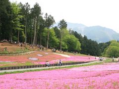 羊山公園の芝桜 2012