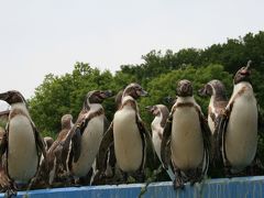 埼玉県こども動物自然公園 2012