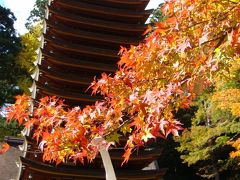 談山神社の紅葉　2011