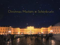 ウィーンのクリスマスマーケット　２０１２（シェーンブルン宮殿）