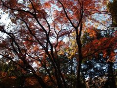 鎌倉獅子舞の紅葉－2012年晩秋