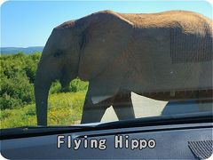 特売切符で南アフリカへ その4、ADDO ELEPHANT NATIONAL PARK に泊まったよ、翌朝 保護区内を早朝ドライブ