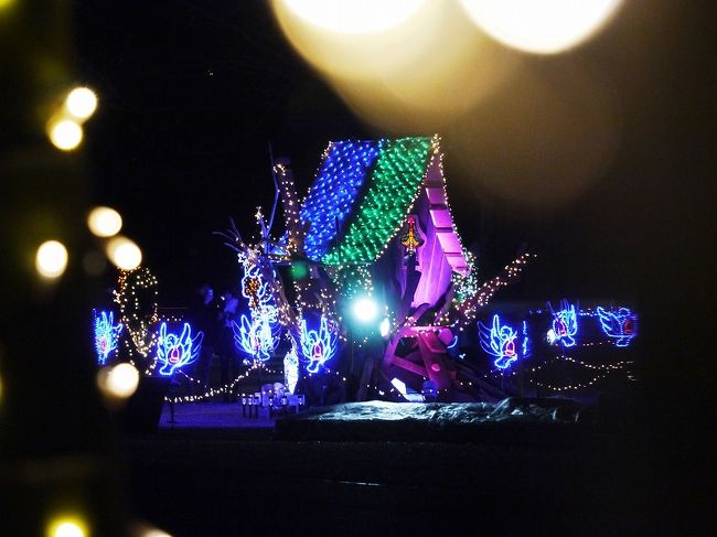 今年の昭和記念公園のイルミネーションは大きく変わりました。<br /><br />まず、シンボル的な存在だったシャンパングラス・ツリーがなくなりました。<br />だからと言って物足りないわけではありません。<br />むしろ落ち着いた雰囲気になったような気がします。<br /><br />昭和記念公園FCにも声をかけましたが、師走は皆さんの日程が合わず。<br />開催期間が短いので行けるときに行っておかなくちゃ。<br />と思って、写真仲間と誘い合わせて行きました。<br />撮影のあとは立川でミニ忘年会でした。<br /><br /><br />