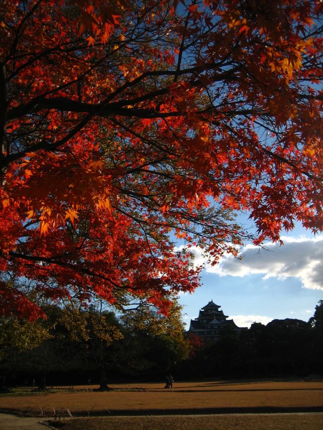 <br /><br />盛りをすぎた紅葉を、目に焼き付けに行ってきた。<br />季節が変わるのを感じたいと思って。