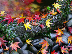 2012年晩秋の鎌倉～まだ見頃の紅葉ケ谷(鎌倉宮・獅子舞・瑞泉寺)を歩く