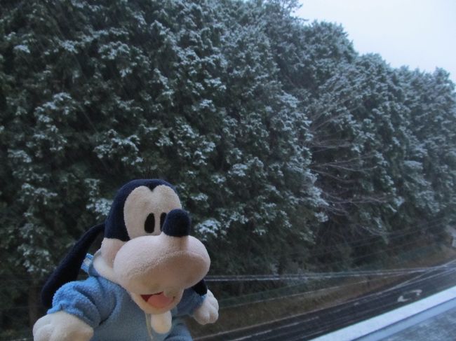 グーちゃん、臨時箱根合宿へ行く！（祝！旅行記１０００冊・雪の仙石原でカニ三昧！編）