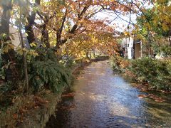秋の紅葉京都旅行♪