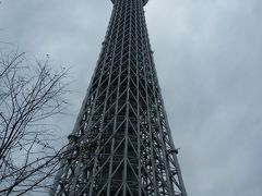 ポン吉が行く　【９５】　今年も社員旅行の季節になりました。（２日目−１）