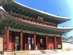 4travelソウルオフ会　昌徳宮～東大門～タッカンマリ～鷺梁津（ノリャンジン）水産市場だワン！