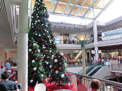 （我慢できずに）今年２度目の☆ＨＡＷＡＩＩ☆～積雪の札幌から直行便でＧＯ～（出発～１日目）