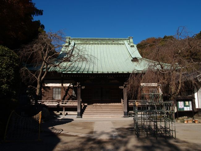 　逗子市沼間ある法勝寺は日蓮宗のお寺で沼間山法勝寺という。天平年間（724年〜749年）に、天台宗の寺・天童山正覚寺として創建された。山中にある神武寺（創建は神亀元年（724年））と並ぶ古刹である。<br />　永仁年間（1293年〜1299年）、大善阿闇梨日範聖人が宗論に勝ち、日蓮宗に改宗して、沼間山法勝寺と改めた。行基作・十一面観音菩薩（大蛇伝説）を安置している。また、寺伝の法勝寺古縁記（1438年頃の成立）は沼間の歴史を知る資料とされる。<br />　本堂前に左右に植えられた枝垂れ桜が、総本山身延山久遠寺を偲ばせてくれ、日蓮宗のお寺であることが実感できる。<br />　境内は沼浜城址とも伝えられている。法勝寺内には逗子墓園という霊園があり、石匠やまもとが運営している。また、「かぐのみ幼稚園」は、昭和23年（1948年）に法勝寺本堂に開園された「たちばな保育園」を母体とする3年保育の幼稚園である。大伴家持の和歌「よろしなへ　此の橘を　ときじくの　香の木の実と　名附けけらしも」に因み、「たちばな保育園」、「かぐのみ幼稚園」と名付けている。昭和43年（1968年）3月に園舎を全焼してその年の12月に落成した新園舎は鉄筋コンクリート造の2階建てであるが、多角形（10角形か）の丸に近い平面図であろうか。<br />（表紙写真は法勝寺本堂）