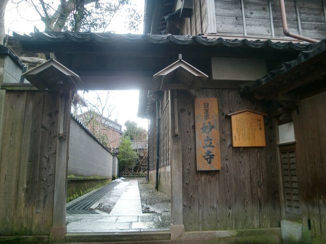家族で金沢に行ってきました。<br />犀川沿いにある野町・寺町周辺を観光してきました。<br />予約しないと行けないと思っていた「忍者寺」も飛び込みで見学する事ができました。