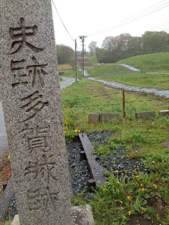 奈良時代の陸奥の国府だった多賀城に行ってきました。<br />雨降りしきる多賀城のウォーキングだったため、十分な写真を撮ることができませんでした。<br /><br />多賀城の周辺は、遺跡の宝庫となっています。<br /><br />広大な面積の多賀城の史跡のほか、ＪＲ「国府多賀城」駅の周辺には舘前遺跡、多賀城廃寺跡のほか東北歴史博物館があります。そのほか、少し駅からは離れますが「多賀城市埋蔵文化財調査センター」では、多賀城で発掘された当時の遺物が多数展示されていました。<br /><br />多賀城の政庁跡は、海側より小高い丘陵地帯のもっとも高い位置のあたりにあり、政庁跡からは天気がいいとおそらく周辺がよく見張らせたものだと思います。<br /><br />国府多賀城駅の近くには仮設住宅があり、政庁跡に向かう途中には袋に詰められたがれきが積み重なっておかれたグランドが非常に印象的でした。<br /><br />いまは、歴史ブーム。<br />仙台の青葉城などと合わせ、陸奥国の中心として栄えた多賀城の史跡などをトレッキングしつつ、たくさんの歴史ファンの方に多賀城にも来ていただきたいなと思いました。