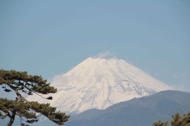 茨城県と千葉県の用事を済ませ、首都高から東名に入り、箱根に行こうと計画していたけど、道を間違え横浜経由で下の道を走り箱根に行くことに。<br /><br />途中、カーナビのトラブルで道を間違えたり、渋滞に遭遇したり、強風で寄り先を変更したりで、余り観光もできず、散々なドライブになってしまった・・・。