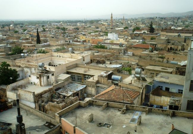 ピスタチオ畑に歌声は響くよ～トルコ5