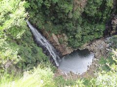 ゴールドコースト・フリー旅行④ラミントン国立公園のビナブラロッジへ