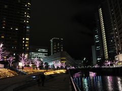 目黒川イルミネーション2012
