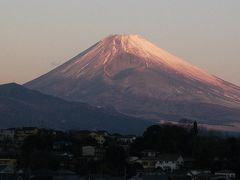 伊豆　家族旅行　韮山～伊豆高原