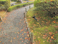 12月の京都 妙心寺～仁和寺へ