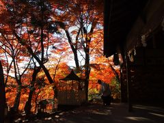 犬山紅葉巡り