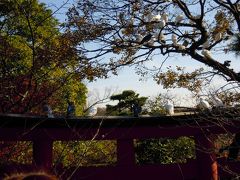 2012☆鎌倉プチ旅行