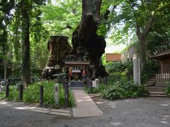 来宮神社と丹那神社を訪ねて