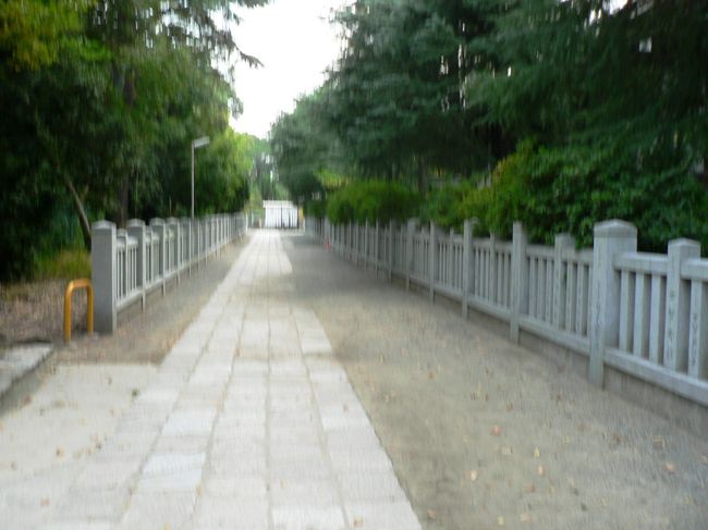 大鳥大社(おおとりたいしゃ、大鳥神社)は、大阪府堺市西区鳳北町にある神社で埼玉県の鷲宮神社とともに全国の「大鳥信仰」の本社とされ「大鳥大明神(おおとりだいみょうじん)」「大鳥大神宮(おおとりのおおがみのみや)」などともいわれた。日本武尊は西征して熊襲を平定し東征して東国を平定したが、伊吹山で病に倒れ伊勢国能褒野で薨去する。遺体はその地に葬られたが陵墓から魂が白鳥となって飛んで大和国琴引原で留まり、また飛び立って河内国古市に降りたが最後に大鳥の地に舞い降りたので社を建てて祀ったとされこれが大鳥神社の始まりとされる。神域は千種森(ちぐさのもり)と呼ばれ、白鳥が舞い降りた際、一夜にして樹木が生い茂ったと言われる。開運・商売繁盛の神として信仰されている。<br />(写真は大鳥大社参道)<br />