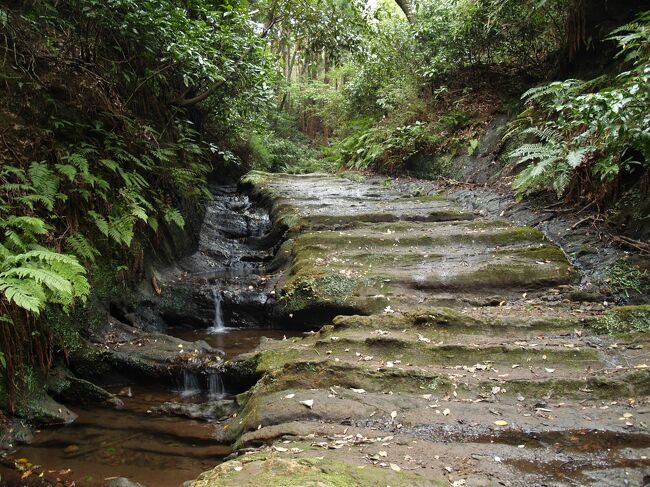 鎌倉は三方を山に囲まれているために、山を切り開いて道が付けられている。これを「切通」と呼んでいる。一般には、巨福呂坂切通、化粧坂切通、亀ヶ谷坂切通、朝夷奈切通、名越切通、極楽寺坂切通、大仏坂切通を「鎌倉七口」と呼んでいるが、これは江戸時代に「京七口」になぞらえて名付けられたものであり、必ずしも鎌倉時代の鎌倉への出入り口を示している訳ではない。<br /> 注目すべき切通は、実は「二階堂切通」であるが、名前も付いていないほど忘れさられている。江戸時代に「鎌倉七口」の一つに加えられなかったためにこのような状態になっている。しかし、源頼朝が奥州平泉に出陣し凱旋した街道(軍事道路)にあると考えられるので、治承4年(1180年)から文治5年(1189年)までの10年間に掘削された切通である可能性が高い。「武家の古都・鎌倉」と謳って失敗したが、現実には「古(いにしえ)の軍都・鎌倉」と考えるのが妥当であろう。<br /> また、釈迦堂口切通は隧道ではあるが切通の名を冠して呼ばれている。しかし、鎌倉時代にはこの隧道の上に釈迦堂小切通があるが、その後にできた隧道に名を譲ったのかも知れない。<br /> これ以外にも、永福寺切通、大船の切通、高野の切通と谷戸坂の切通などが残っている。<br /> 切通には防御施設が設けられたとされるが、掘削した下の道を掘削されずに残された尾根から弓で射ればどこでも防御施設になり得る。しかし、朝夷奈切通や「二階堂切通」、巨福呂坂切通、大船の切通、高野の切通と谷戸坂の切通にはそうした施設はない(ようだ)。<br /> また、切通には必ずやぐらがあるとするのもおかしい。鎌倉中にある「二階堂切通」にはやぐらは皆無であるし、高野の切通にもやぐらはないが、大船の切通の一方の入口にはやぐらがある。また、谷戸坂の切通、巨福呂坂切通、化粧坂切通にやぐらは見られないが数10mから100mも行けばやぐらが見られる。<br /> 単に、交通路として開かれた朝夷奈切通と「二階堂切通」、釈迦堂小切通(釈迦堂口切通)、大船の切通、高野の切通と谷戸坂の切通、鎌倉への出入り口として防御施設が設けられた名越切通、極楽寺坂切通、大仏坂切通があり、山ノ内への出入り口として掘削された巨福呂坂切通と亀ヶ谷坂切通、尾根に通った街道に上る化粧坂切通があったのだ。その多くは尾根道として鎌倉時代以前からあったのだが、鎌倉時代の道路整備で掘削して切通としたところが殆どであろう。朝夷奈切通のように長い距離の掘削は道路工事としては大規模なものとなるが、円海山天園ハイキングコースに見られるように、岩を砕いて尾根道を平らにしているところは多々見られる。柔らかい鎌倉石を数m程度、掘削することは大規模な道路工事ということでもなく、普通にやられていたのであろう。<br />(表紙写真は「二階堂切通」)