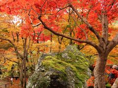 2012年11月の京都　紅葉三昧　3日目は嵐山