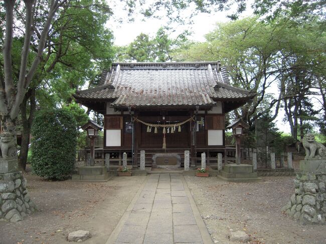 ＪＲ高崎線籠原（かごはら）駅から北東に約３Ｋｍに東別府神社があり、この地がかつての別府城（べっぷじょう、埼玉県熊谷市東別府）と言われております。　<br />　　　　　　<br />城主は成田助高（なりた・すけたか）の二男行隆（ゆきたか）が別府の地に住み別府氏と名乗ることに始まると伝えられています。<br /><br />元久元年（１２０４）行高の息子能行（よしゆき）と行助（ゆきすけ）が領地の配分について争い、行隆は当別府の地を半分ずつ知行するよう遺言したと伝えられています。<br /><br />別府城は行隆から能行に継がれ、戦国時代には長清（ながきよ）まで１２代に亘り居城していましたが、天正１８年（１５９０）豊臣秀吉の小田原北条氏討伐に際し小田原北条氏側に付いた為秀吉派遣軍に攻撃を受け落城別府氏は所領没収となり、その後は廃城となります。<br /><br />築城時期は定かではありませんが、１５世紀から１６世紀後半と思われ、築城者は別府長清ではないかと推測されます。<br /><br />城郭の周辺には空堀と土塁が東西及び南北に約１００ｍの四角形に巡らされておりとりわけ北側と西側には見事な土塁が認められ、典型的な中世城郭跡と言えます。<br /><br /><br /><br />２０２3年8月5日追記<br /><br />現地建立の説明板には次のごとく記載されています。<br /><br />「　埼玉県指定史跡　　「　別　府　城　跡　」<br />　　　　　　　　　　　　　　　　　　　　　　昭和１６年３月３１日指定<br /><br />「別府城跡」は、平安時代末期から室町時代における別府氏の居館跡であり、東西やく１００メートル、南北約９０メートルの屋敷地が残されている。土塁と堀の保存状態も良好で、その規模は、堀が幅約５メートル、深さ約２・３メートル、土塁は高さ約２メートルである。城跡の敷地面積は約３６,０００m２である。<br /><br />別府城跡に建立された東別府神社は、創建年代不詳であるが、別府氏（藤原氏）の氏神として大和奈良の春日神社を勧請、天正１８年（１５９０）の落城まで、城の鎮守だったと伝わる。明治４２年（１９０９）に埋鳥の村社榛名神社を合祀、東別府神社と改称したとされる。<br /><br />別府という地名の由来については、平安時代末期頃に「別府符」（追加開墾状）によって開墾されたという説のほか、国府の支庁である別府が置かれたことによるとも考えられている。熊谷市と深谷市との境界周辺に所在する国指定史跡「幡羅官衙遺跡群」では７世紀後半から１１世紀前半までの「郡家」（郡役所跡）が確認されている。これらの説からも、別府の地は古くから開発された所であることが推定される。<br /><br />別府氏については諸説あるものの、『成田氏系図』によると、平安時代末期、成田氏の成田助高の次男である行高が別府の地を支配し別府氏を名乗ったのが始まりとされている。幸隆の長男である義行が別府の東部に居住し、「東別府氏」となり、次男の行助が別府の西部に館を構え「西別府氏」となったという伝承がある。別府の歴史を今に伝える「別府城跡」は、地元の人々の信仰と尽力によって貴重な文化遺産として現在に継承されている。<br /><br />　　　　　　　　　　　　令和３年３月　　　熊谷市教育委員会　」<br />　　　　　　　　　　　　（２０２１）<br />　　　　　　　　　　　　　　　　　