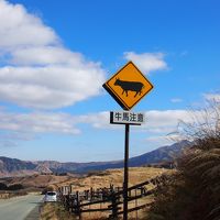 2012秋　九州湯めぐりの旅3日目（最終日！）　のんびり阿蘇散歩とまさかのドタバタ博多ナイト