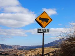 2012秋　九州湯めぐりの旅3日目（最終日！）　のんびり阿蘇散歩とまさかのドタバタ博多ナイト