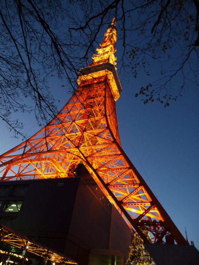 クリスマスイヴ　いつもの東京タワーへ　やっぱり混んでる<br /><br />東京タワー　<br />http://www.tokyotower.co.jp/index.html<br /><br />２００９　東京タワーから富士山が見えたー１<br />http://4travel.jp/traveler/jiiji/album/10399114/<br />２００９　東京タワーから富士山が見えたー２<br />http://4travel.jp/traveler/jiiji/album/10399392/<br /><br />２０１０　東京タワー特別展望台<br />http://4travel.jp/traveler/jiiji/album/10415583/<br /><br />２０１０　クリスマス　東京タワー　へ　上<br />http://4travel.jp/traveler/jiiji/album/10531305/<br />２０１０　クリスマス　東京タワー　へ　下<br />http://4travel.jp/traveler/jiiji/album/10531441/ 