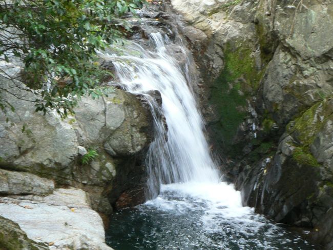 水間寺(みずまでら)は、大阪府貝塚市にある天台宗の寺で水間観音と呼ばれ本尊は聖観世音菩薩。<br />天平年間(729−749年)に聖武天皇の勅願により行基が開創したものとされ病床の聖武天皇の夢に現れた観音菩薩を求め行基が2つの川が合流する「水間」にやってくると観音の化身である16人の童子に遭遇、誘われて滝に向かうと竜神が現れ聖観音像を授けられたと伝わっている。滝は現在の本堂の裏を流れる小川にあったとされ「聖観音菩薩出現の滝」と墨でかかれた板が設置されている。<br />井原西鶴の『日本永代蔵』の「初午は乗て来る仕合」に「泉州水間寺利生の銭」と記されたことで全国的に知られるようになり1925年には参拝客を運ぶための水間鉄道が開通している。<br />(写真は水間寺の聖観音菩薩出現の滝)<br /><br />