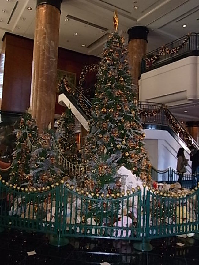 クリスマス音楽ミサ 第九 恵比寿 代官山 東京 の旅行記 ブログ By りりこさん フォートラベル クリスマス音楽ミサ 第九 恵比寿 代官山 東京 の旅行記 ブログ By りりこさん フォートラベル