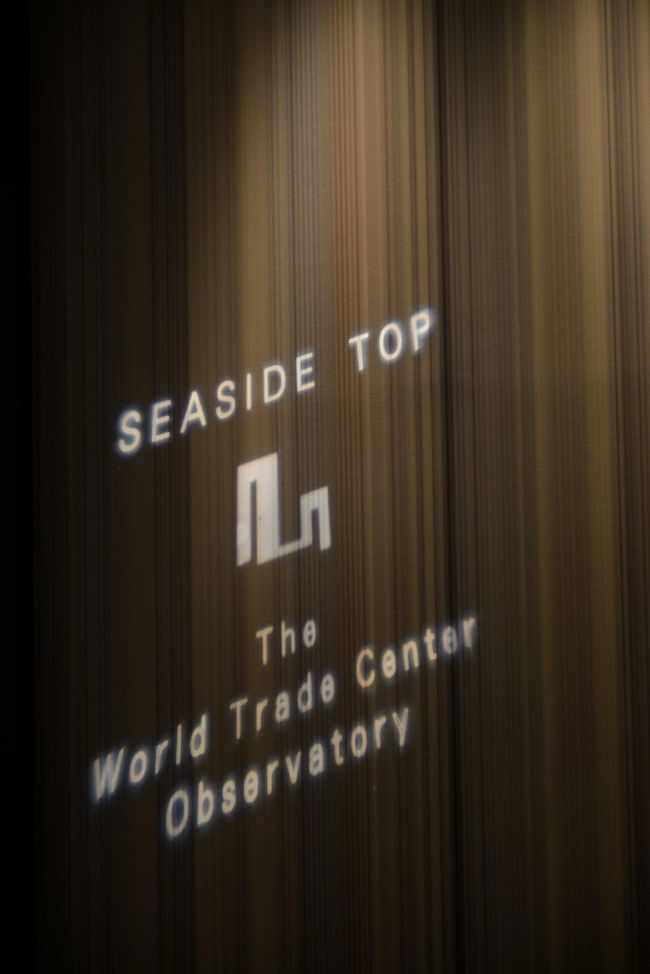 会社の帰りに世界貿易センタービルに立ち寄りました。入場料 620円。<br /><br />40FのSEASIDE TOPから夜景撮影。東京タワーには「2012」のライトアップが。。。 さようなら、2012年!<br /><br /><br />この後、どうしても間近から東京タワーを撮りたくなって向かいました。<br /><br />寒かったぁぁ。でも楽しかった。