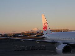 早朝の羽田空港