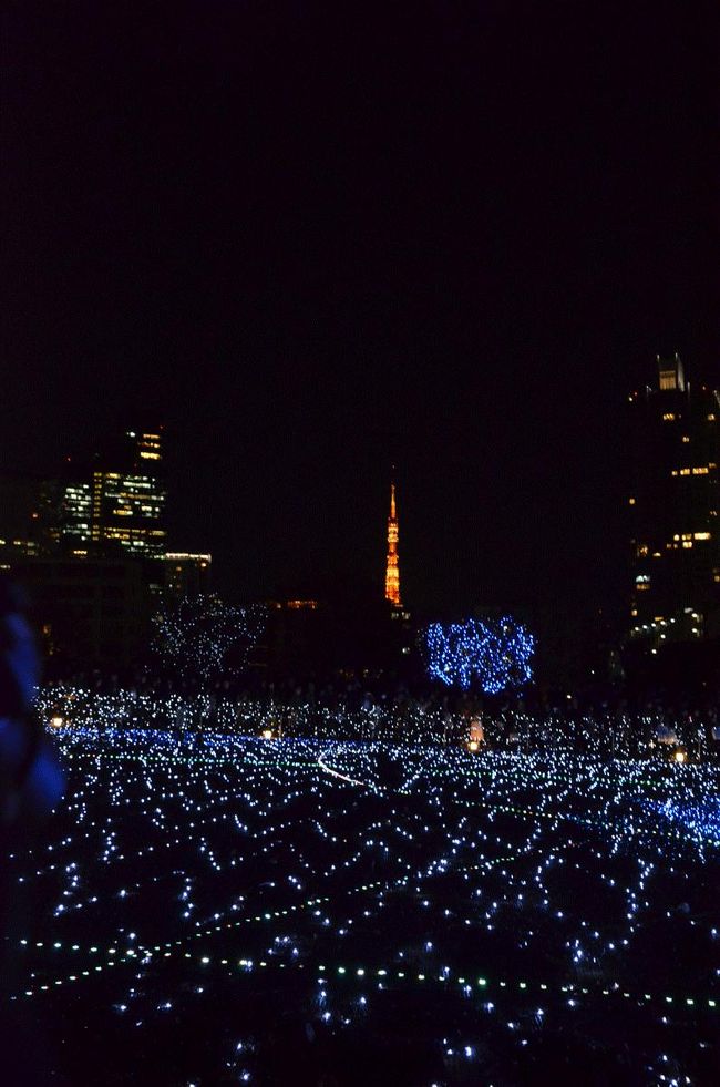 夜になって野暮用を済ませてから東京ミッドタウンのイルミを見に来ました。<br /><br />★東京ミッドタウンのHPです。<br />http://www.tokyo-midtown.com/jp/index.html