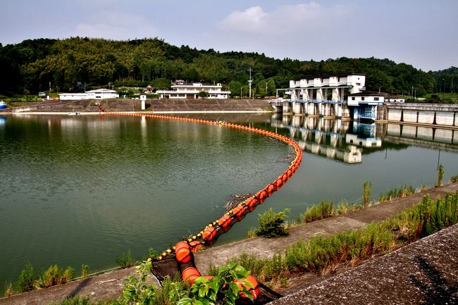 高滝ダム（たかたきダム）は、<br />千葉県市原市の二級河川・養老川に建設されたダム。<br />堤高24.5メートルの重力式コンクリートダムで、<br />千葉県営の多目的ダムである。<br />ダム湖の名称は高滝湖（たかたきこ)<br /><br />ダムに隣接して高滝ダム記念館が立地するほか、<br />ダム湖周辺にレストランや水生植物園などがある。<br />ダム湖の高滝湖ではブラックバス釣りや冬季にはワカサギ釣りなどが行われ、<br />貸しボートも用意されている。<br /><br /><br />高滝駅（たかたきえき）は、千葉県市原市高滝にある、小湊鉄道線の駅である。<br /><br />駅舎に接して単式ホーム1面1線がある地上駅である。<br />奥には使用されていないホームが残っており、<br />また構内には側線や小さな車庫も設けられている。<br />駅舎は古くからの木造であるが、内部は待合所のみとなっており、<br />無人駅となった現在では出札口などは残っていない。<br />毎年8月中旬には、高滝ダムで行われる花火大会に訪れる観客の増加に備え、<br />開催日に限りホーム長をオーバーした3両〜4両編成の車両が運行される。<br />ただし乗降できる車両が限られる。<br />駅には、野良猫が数匹住み着いている。