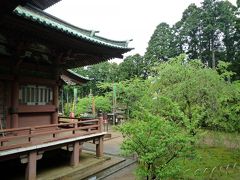 春の鹿野山