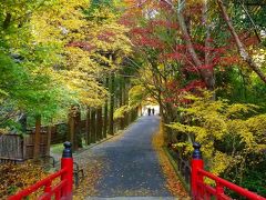 2012年11～12月　母と娘の京都散り紅葉めぐり（第２日目）後編　今熊野観音寺の巻