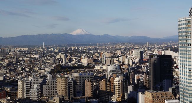 新東名を使って　愛知県から東京観光へ<br />東京スカイツリーに昇ってきました。<br /><br />宿泊した新宿の高層ホテルからは朝やけの富士山を見物。