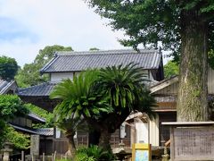 壱岐17　安国寺に参拝　文化財の宝庫　☆スギの巨木が語る史実